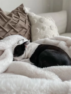 Plaid Wit In Diverse Formaten CHAAB 14 Plaid Wit In Diverse Formaten CHAAB -slaapkamer Verkoopwinkel undef src sa picid 844692 type whitesh image