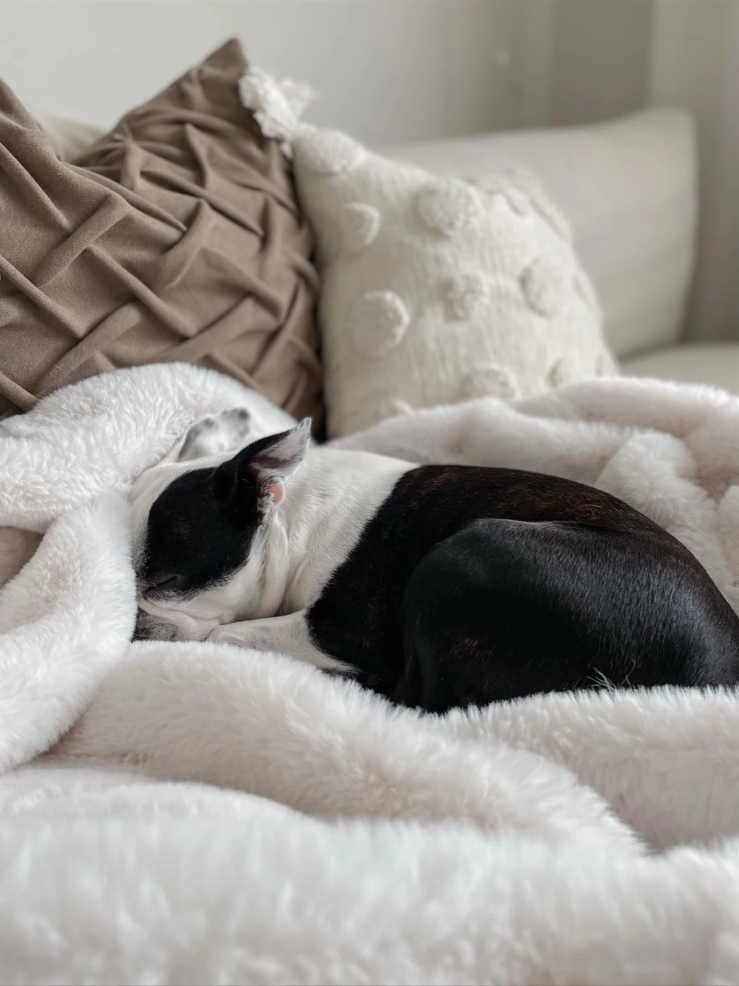 Plaid Wit In Diverse Formaten CHAAB 5 Plaid Wit In Diverse Formaten CHAAB - Afbeelding 5